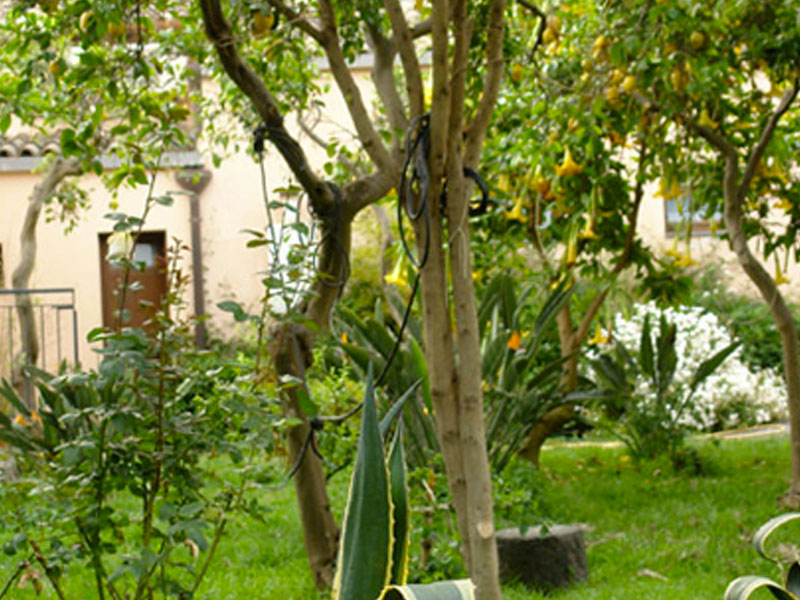 Giardino